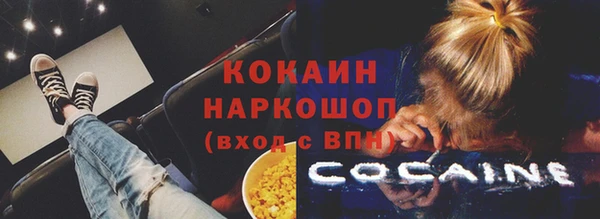 дживик Горняк
