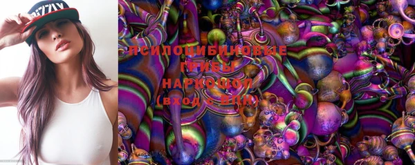 ГАЛЛЮЦИНОГЕННЫЕ ГРИБЫ Алзамай