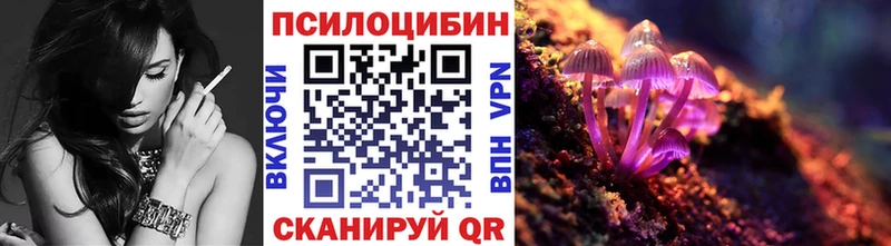 Галлюциногенные грибы Psilocybine cubensis  где купить наркоту  Серов 