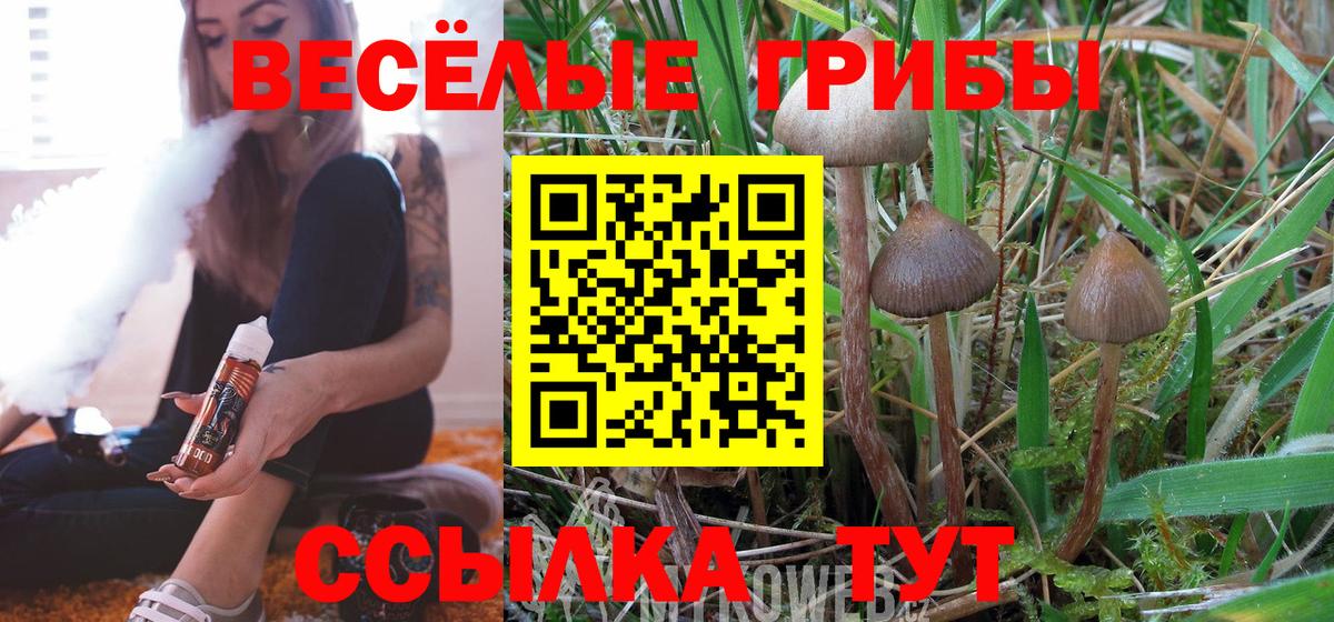 Псилоцибиновые грибы мицелий  Вход с VPN  Серов  Псилоцибиновые грибы MAGIC MUSHROOMS 